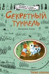 Книга Секретный туннель