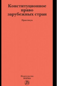 Книга Конституционное право зарубежных стран. Практикум