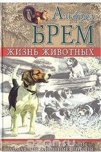 Книга Жизнь животных. Наши любимцы - домашние животные и птицы