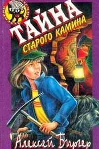 Книга Тайна старого камина