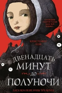 Книга Двенадцать минут до полуночи