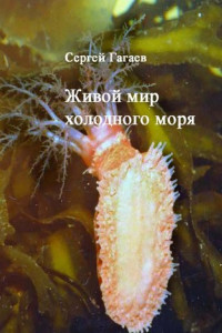 Книга Живой мир холодного моря