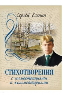 Книга Стихотворения с иллюстрациями и комментариями