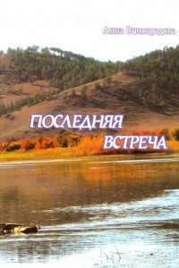 Книга Последняя встреча