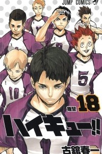 Книга Haikyuu!! (Волейбол!) Vol. 18