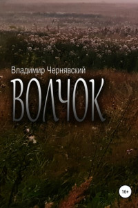 Книга Волчок