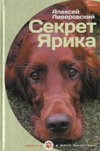 Книга Секрет Ярика