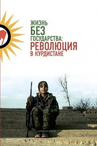 Книга Жизнь без государства: революция в Курдистане