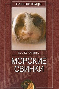 Книга Морские свинки