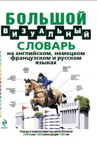 Книга Большой визуальный словарь на английском, немецком, французском и русском языках