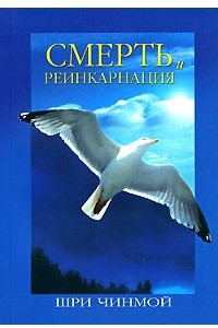 Книга Смерть и реинкарнация