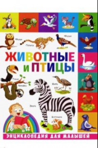 Книга Животные и птицы