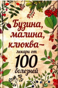 Книга Бузина малина клюква - лекари от 100 болезней