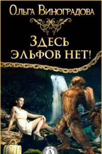 Книга Здесь эльфов нет! или Другой мир для чайников