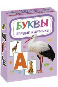 Книга Карточки. Буквы