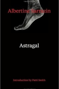 Книга Astragal