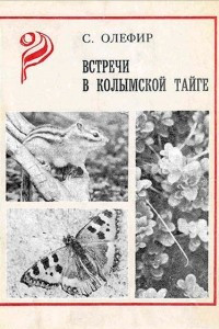 Книга Встречи в Колымской тайге