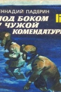 Книга Под боком у чужой комендатуры