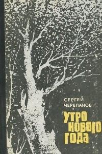 Книга Утро нового года