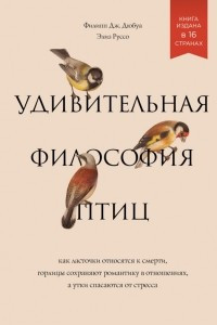 Книга Удивительная философия птиц. Как ласточки относятся к смерти, горлицы сохраняют романтику в отношениях, а утки спасаются от стресса