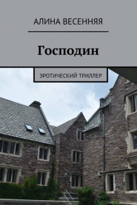 Книга Господин. Эротический триллер