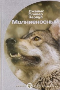 Книга Молниеносный