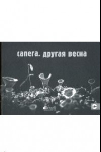 Книга Сапега. Другая весна