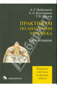 Книга Практикум по анатомии человека. Часть 4. Нервная система и органы чувств