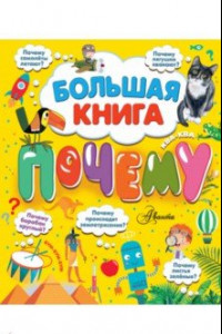 Книга Большая книга почему