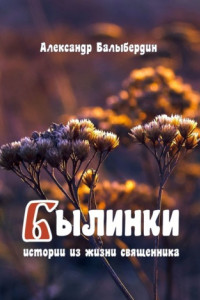 Книга Былинки. Истории из жизни священника