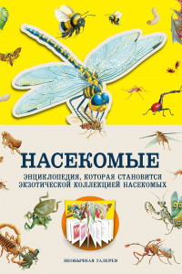 Книга Насекомые