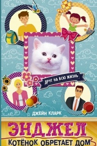 Книга Энджел. Котенок обретает дом