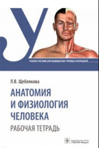 Книга Анатомия и физиология человека. Рабочая тетрадь. Учебное пособие