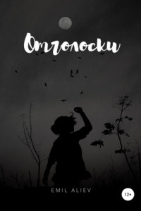 Книга Отголоски