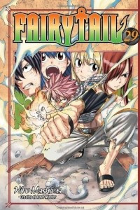 Книга Fairy Tail 29