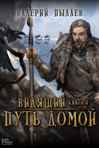 Книга Видящий. Путь домой