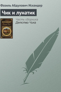 Книга Чик и лунатик