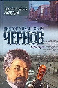 Книга Перед бурей