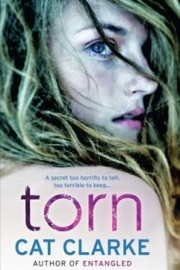 Книга Torn